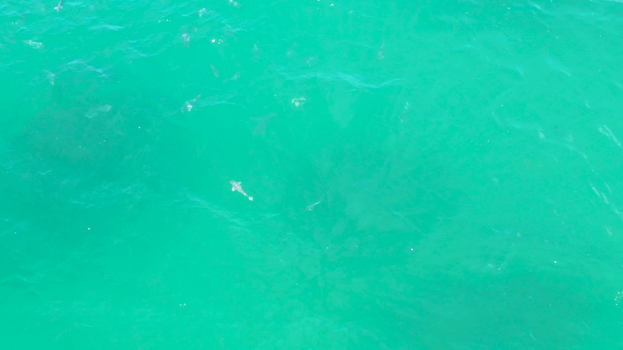 Overhead view of turquoise water in Laguna Beach, Baja California Sur, with faint ripple lines and a few bright reflections, no visible people.