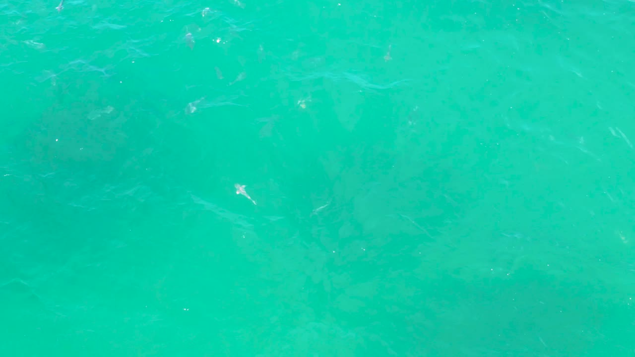 Clear aqua ocean surface in Laguna Beach, Baja California Sur, with soft diagonal wave streaks and scattered highlights, no visible people.