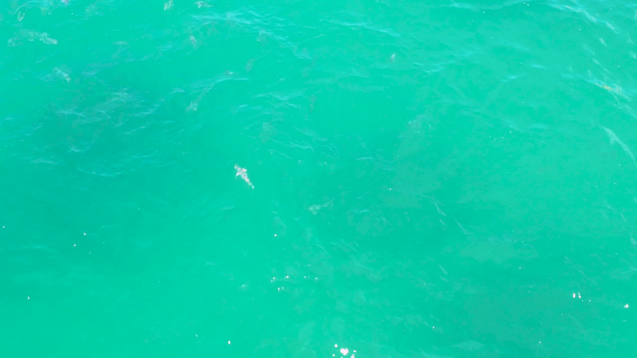 Top-down water view in Laguna Beach, Baja California Sur, with turquoise color, faint surface currents, and small bright flecks near center frame, no visible people.