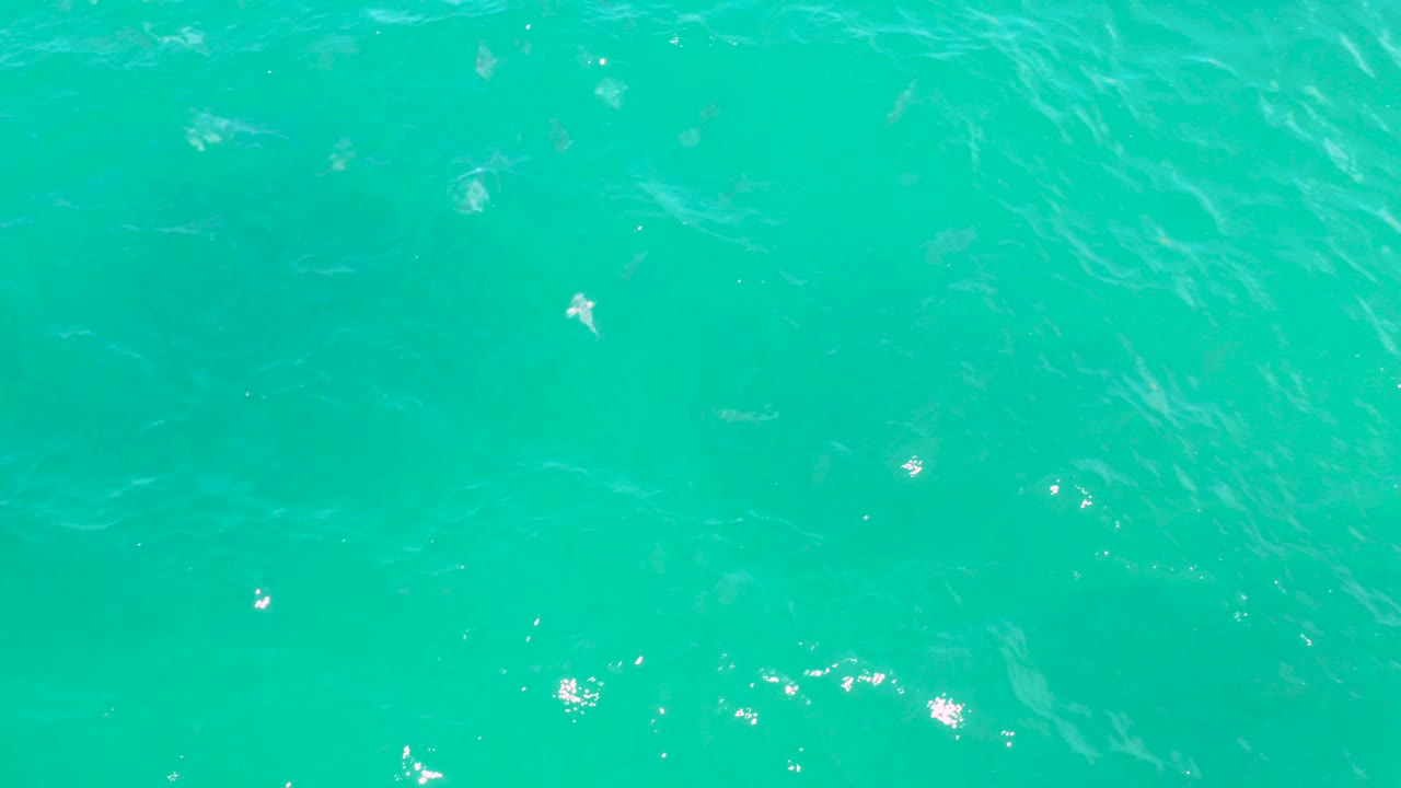 Turquoise water fills the frame in Laguna Beach, Baja California Sur, with soft ripples and small white highlight marks spread across the surface, no visible people.