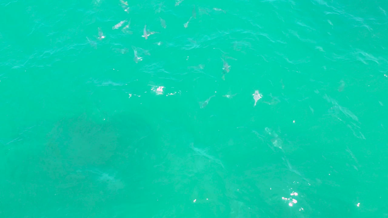 Turquoise seawater with small pale fish beneath the surface.