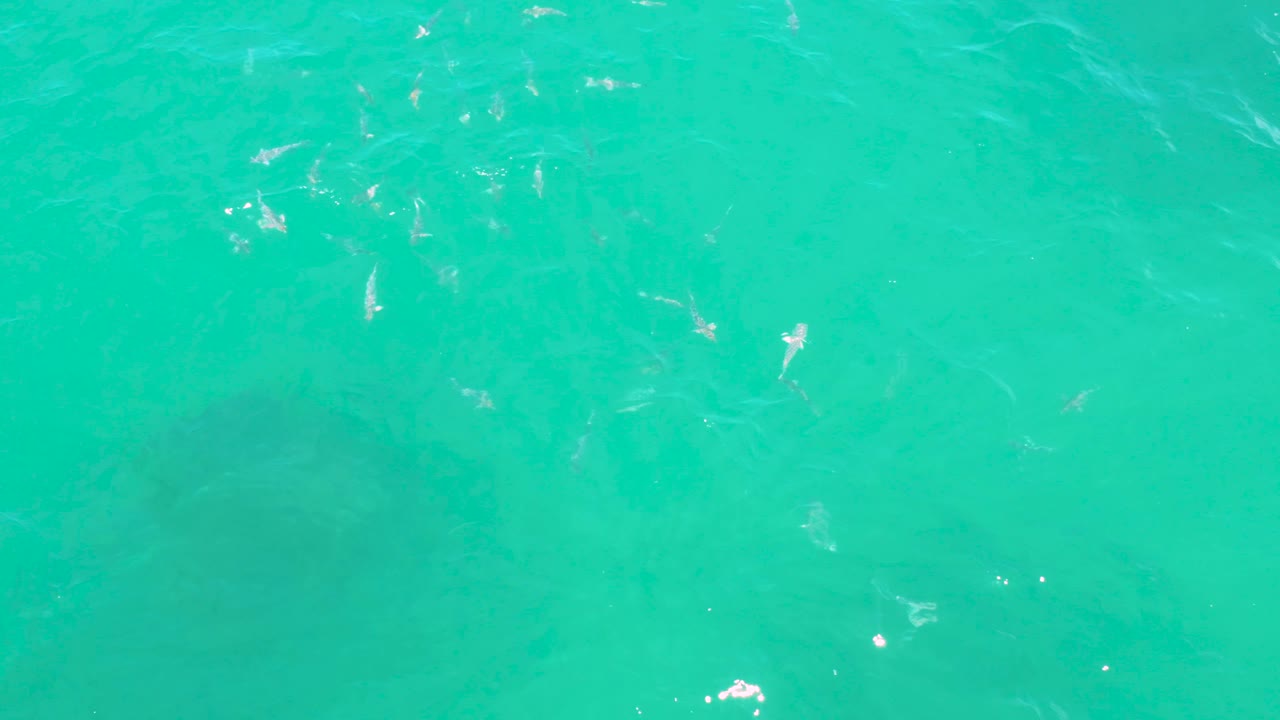 Turquoise water in Laguna Beach, Baja California Sur, with small fish over a slightly darker underwater area and no visible people.