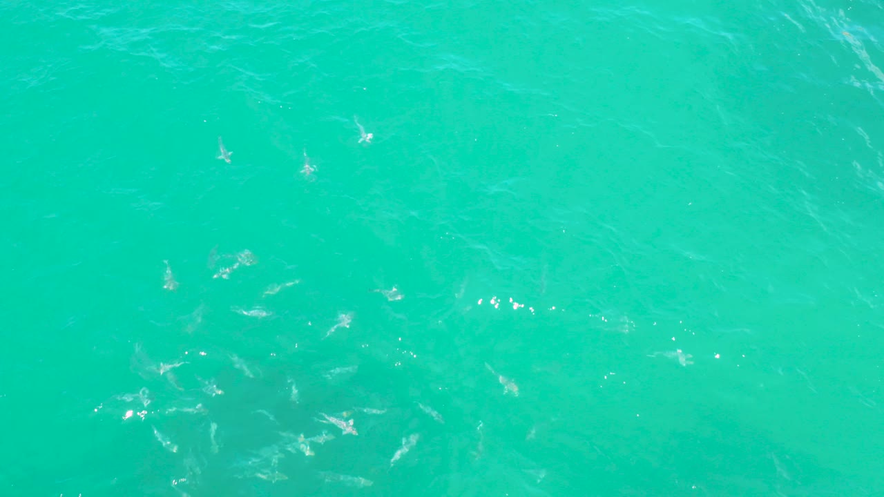 Overhead view of turquoise water in Laguna Beach, Baja California Sur, with faint pale forms under the surface, scattered ripples, and no visible people.