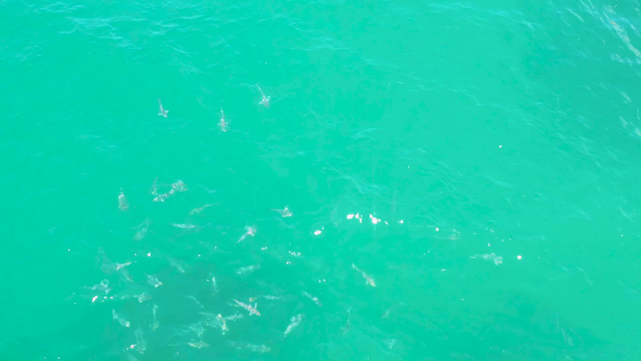 Rippling teal water with brighter glints near the center.