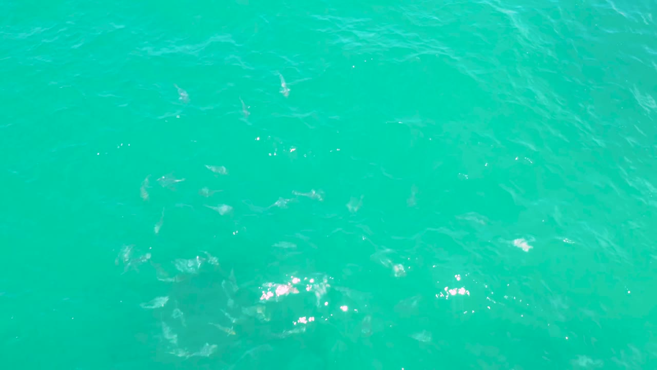 Green-blue water in Laguna Beach, Baja California Sur, shows clustered pale marks under the surface, small ripple lines, and no visible people.