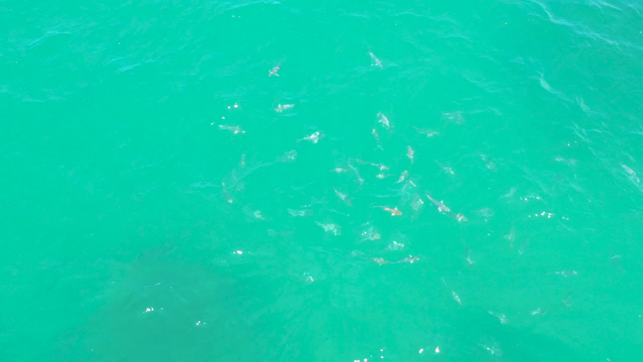 Turquoise ocean surface with small sun glints.