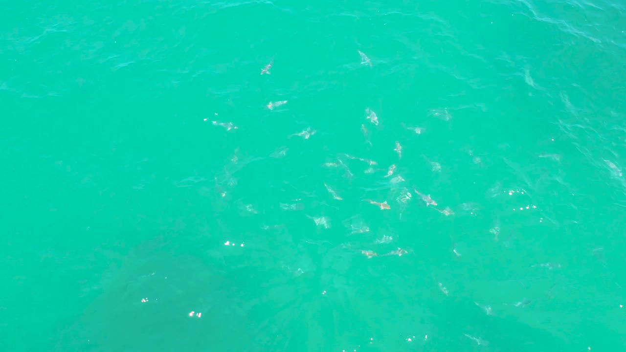 Green-blue ocean surface at Laguna Beach, Baja California Sur with fine wind ripples and small white light flecks spread across the frame, no visible people.