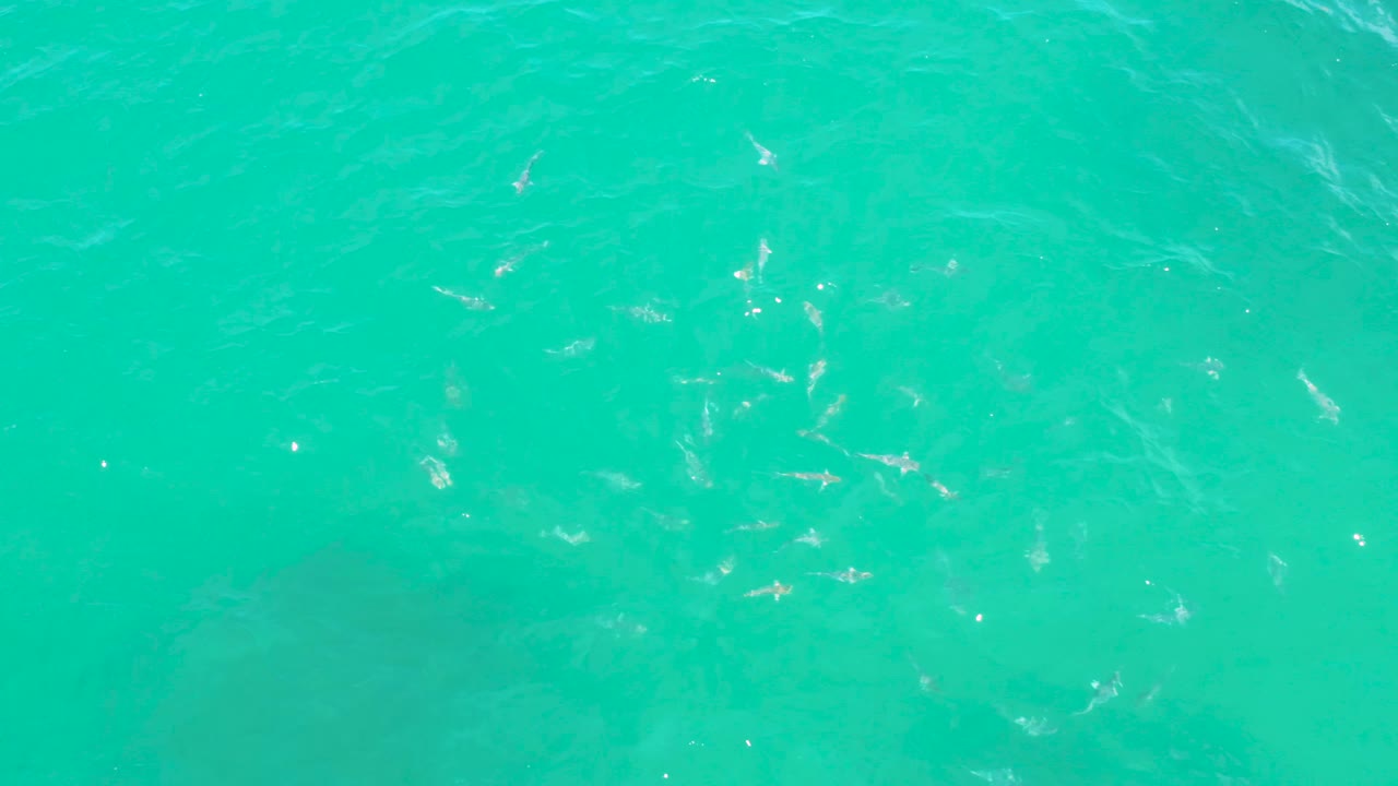 Turquoise ocean water at Laguna Beach, Baja California Sur with slightly denser sun sparkle toward the right side and no visible people.