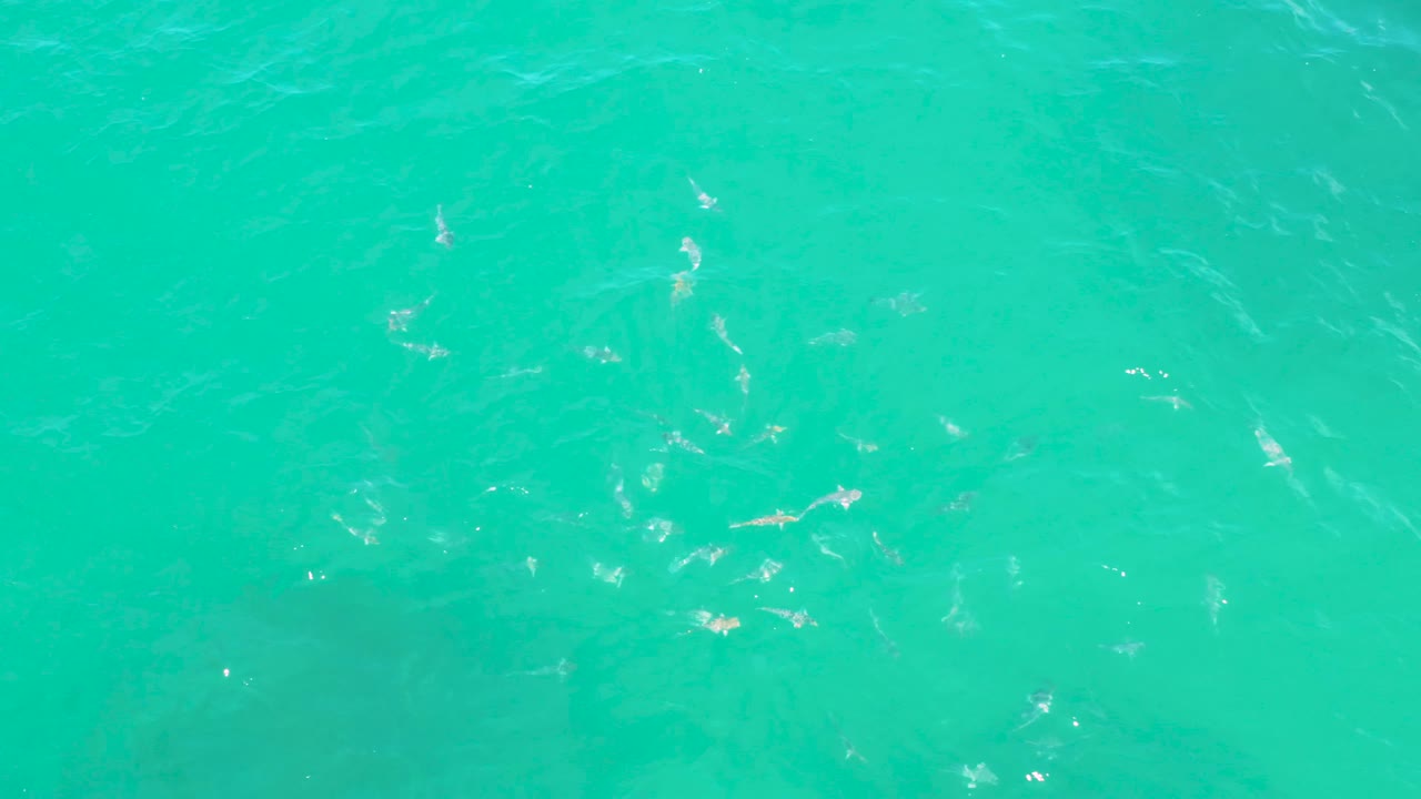 Aqua ocean surface at Laguna Beach, Baja California Sur with sparse white reflections and soft darker wave streaks below the surface, no visible people.
