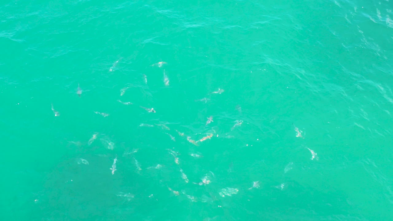 Turquoise water with small pale fish below the surface