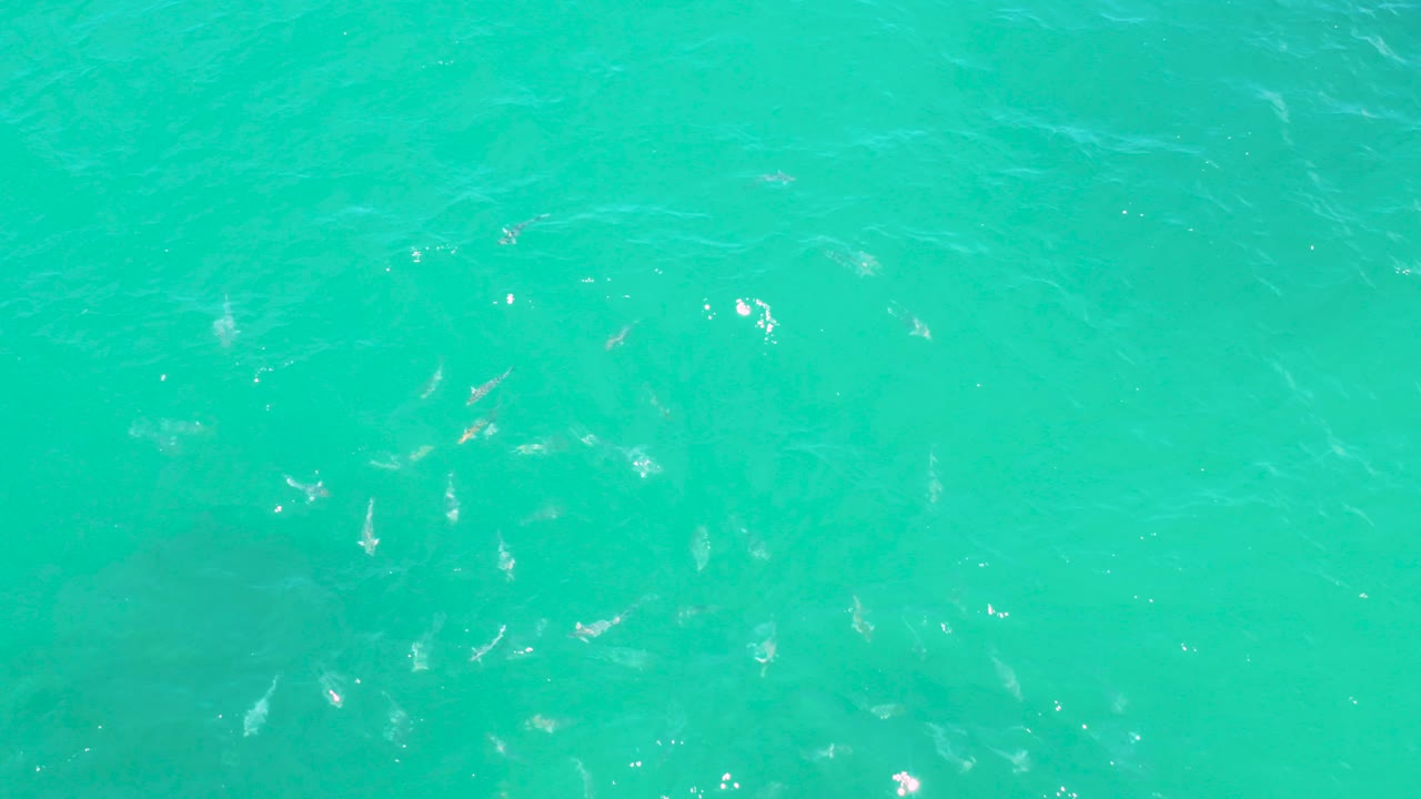 Turquoise ocean surface with faint ripples and sun flecks.