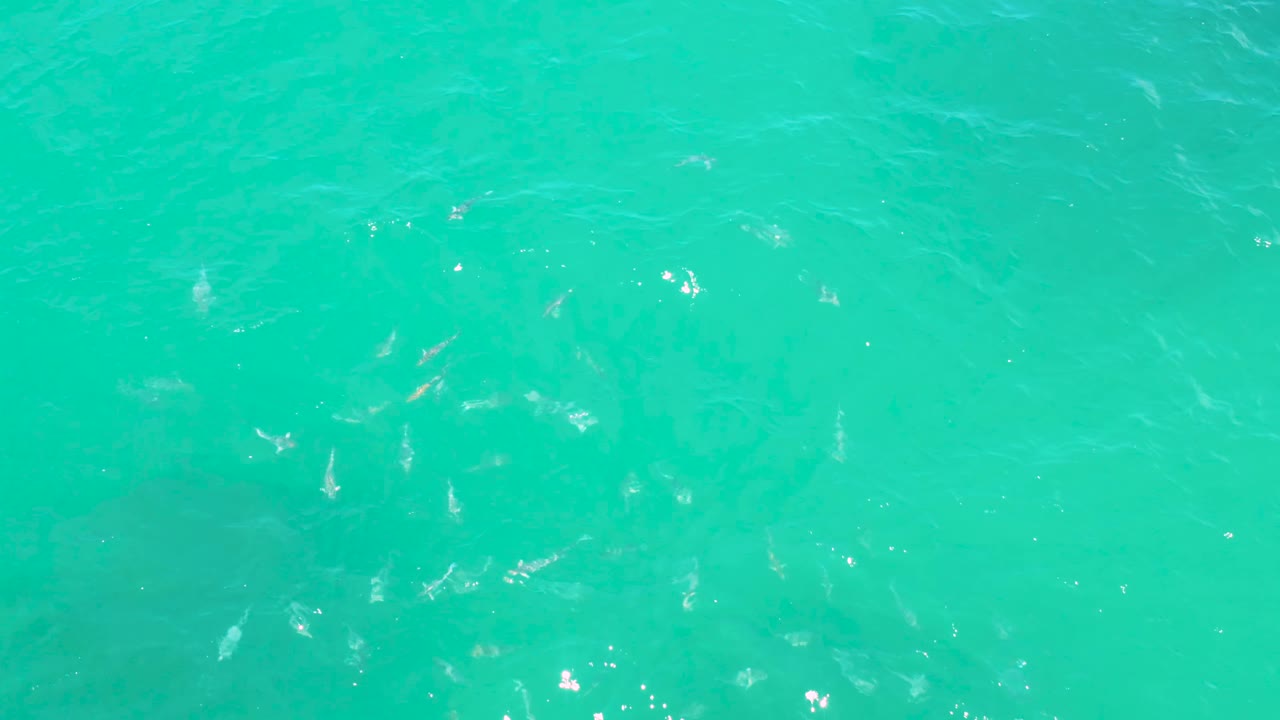 Blue-green ocean surface in Laguna Beach, Baja California Sur, showing soft wave marks and scattered highlights with no visible people.