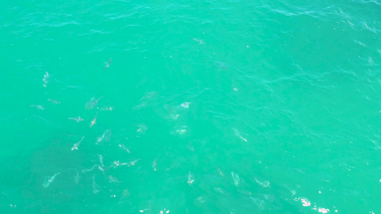 Clear aqua ocean surface in Laguna Beach, Baja California Sur, with small ripples, white sparkle points, and no visible people.