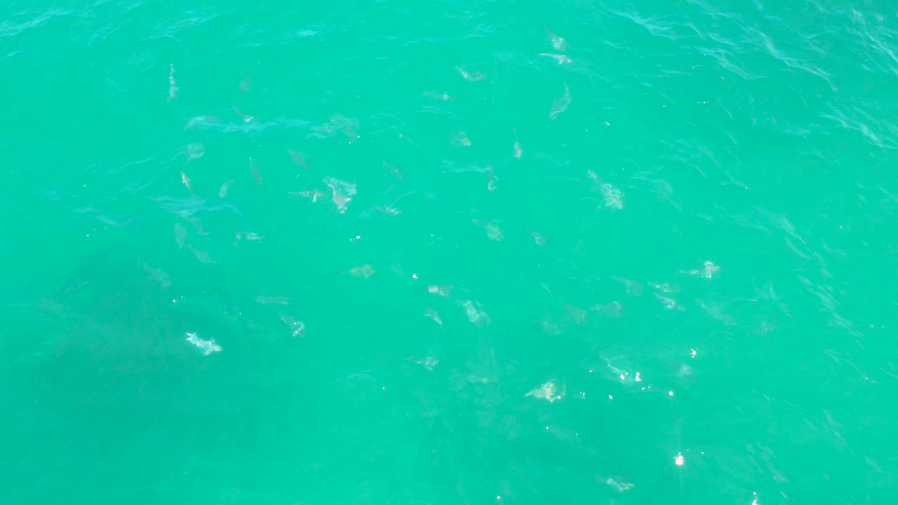 Turquoise ocean surface with small white ripples.