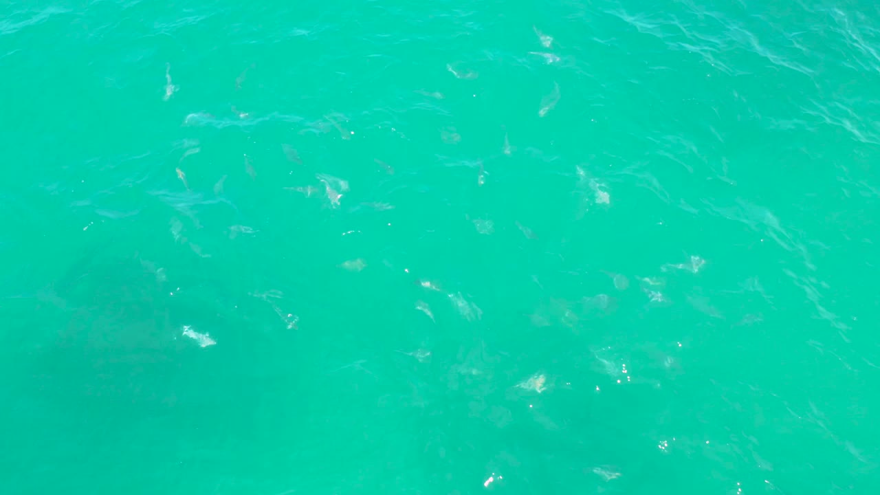 Aqua blue water in Laguna Beach, Baja California Sur shows faint diagonal wave streaks and small sun highlights, with no visible people.