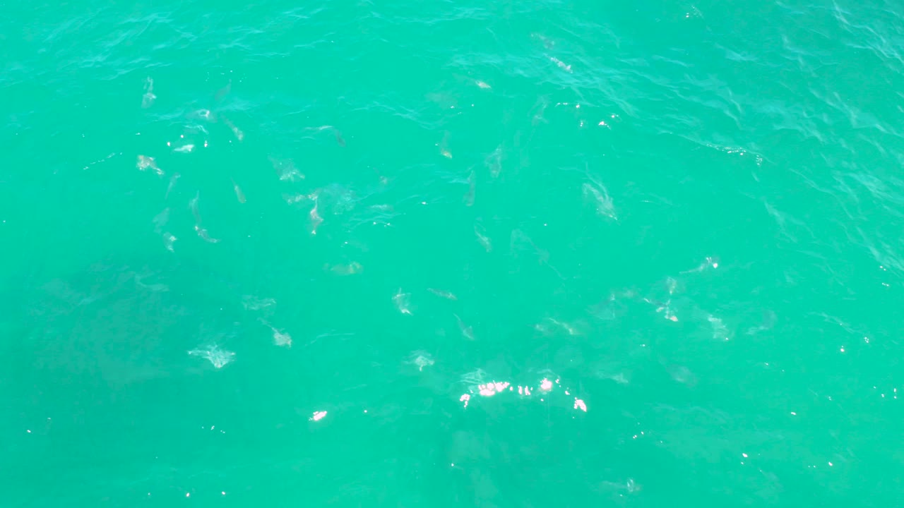 Bright teal ocean surface in Laguna Beach, Baja California Sur contains scattered white caps and reflective flecks, with no visible people.