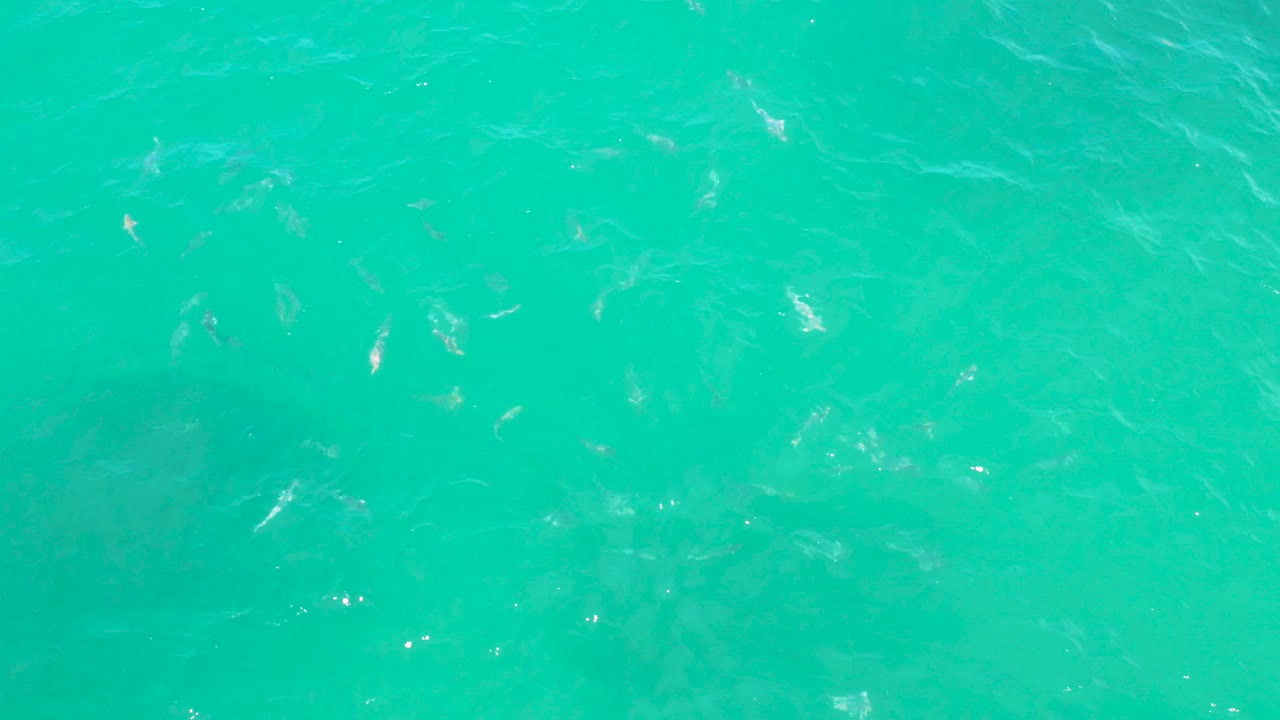 Rippling turquoise water in Laguna Beach, Baja California Sur fills the frame with subtle foam marks and no land or visible people.