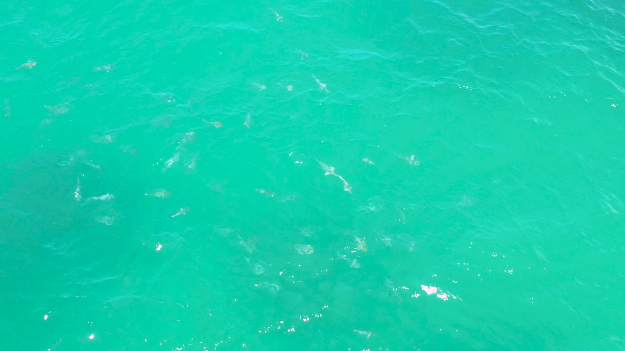 Opening frame of turquoise seawater at Laguna Beach, Baja California Sur, with scattered white sun glints and no visible people.