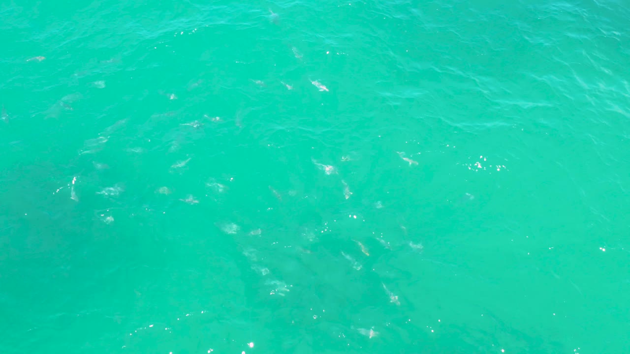 Turquoise ocean water in Laguna Beach, Baja California Sur, shows small sparkle highlights across the surface and no visible people.