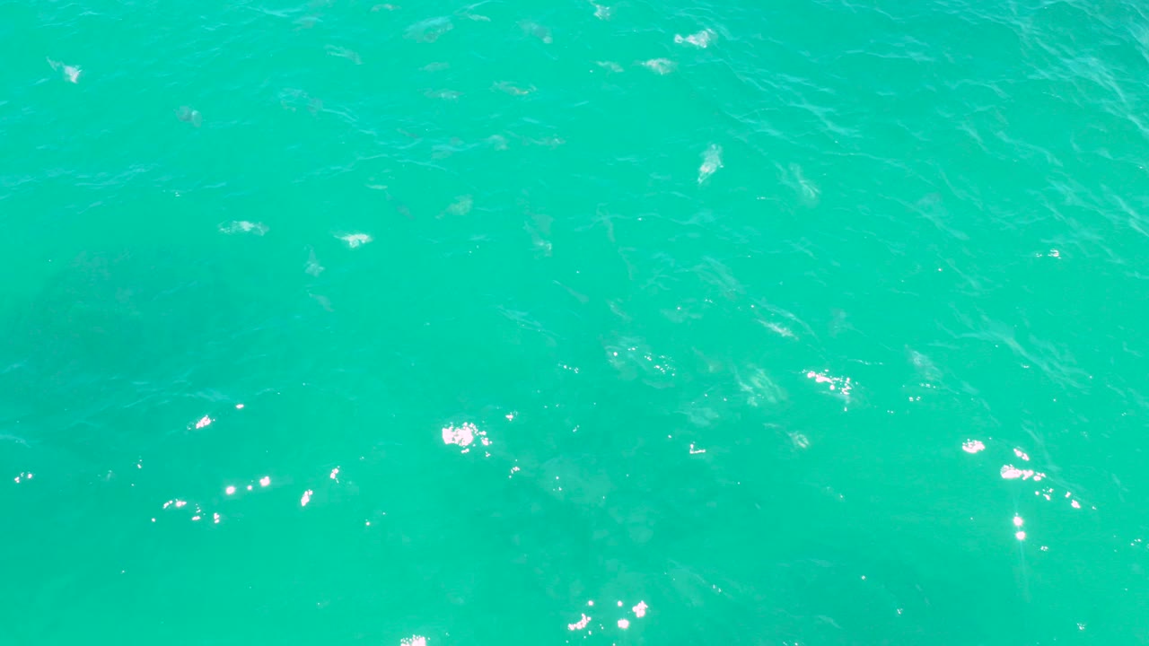 Turquoise ocean surface with sun glints and faint fish below.