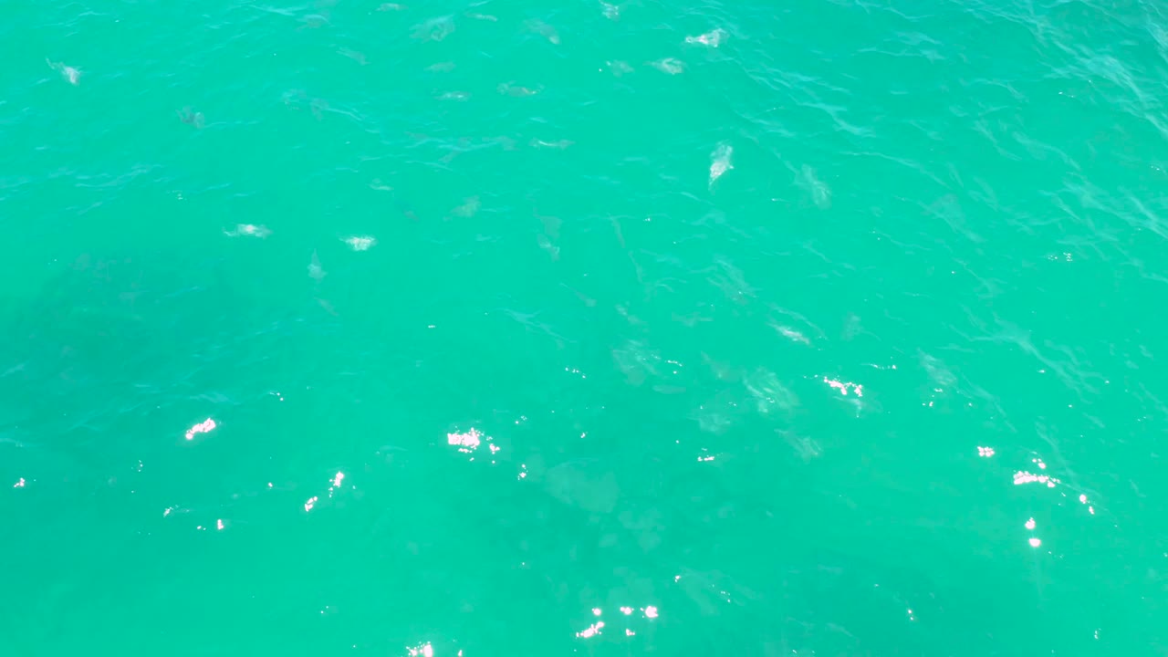Clear teal water at Laguna Beach, Baja California Sur fills the frame with scattered sun reflections and subtle fish movement below, with no visible people.