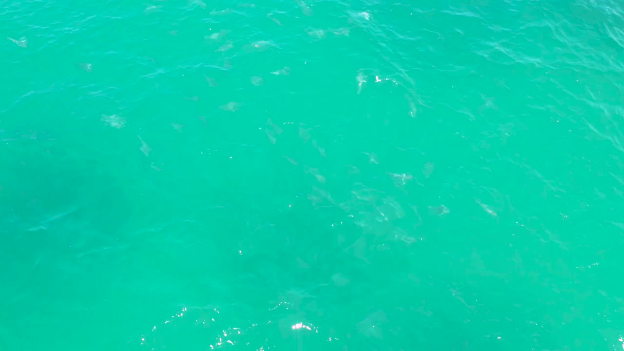 Bright turquoise water at Laguna Beach, Baja California Sur shows clustered surface highlights and pale fish-like shapes under the rippled surface, with no visible people.