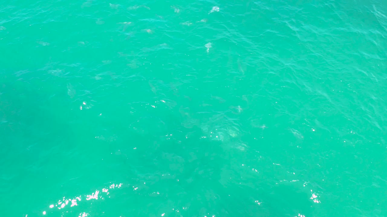 Open aqua water at Laguna Beach, Baja California Sur shows soft wave lines, a few small light glints, and faint fish beneath the surface, with no visible people.