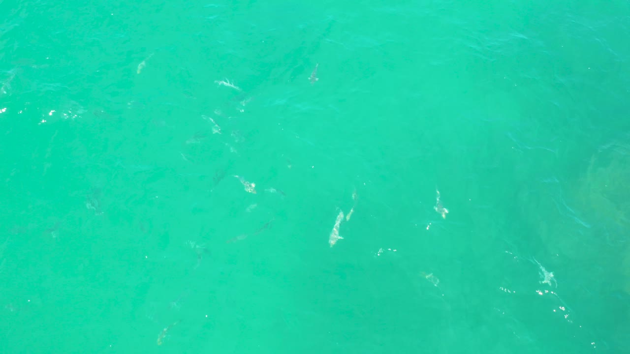 Overhead turquoise ocean water at Laguna Beach, Baja California Sur, with faint darker patches below the surface, small ripples, scattered white highlights, and no visible people.
