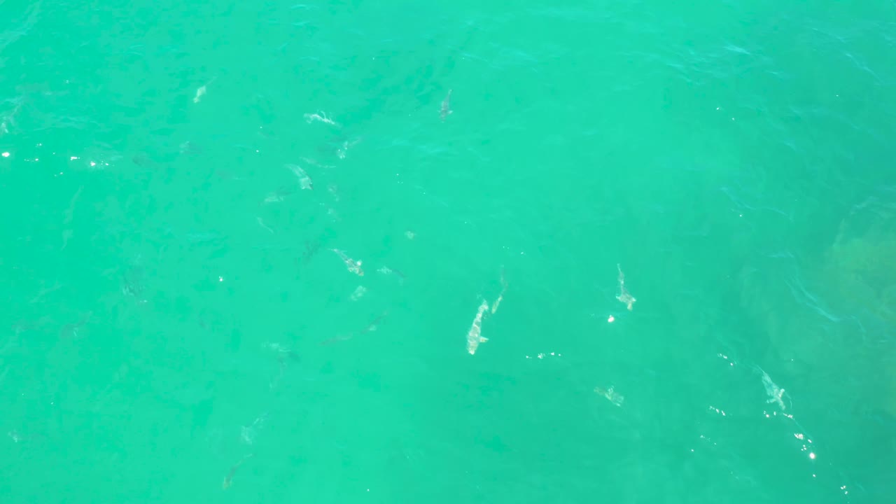 Light blue water surface at Laguna Beach, Baja California Sur, showing fine wave lines, pale underwater variation, small white sparkle points, and no visible people.