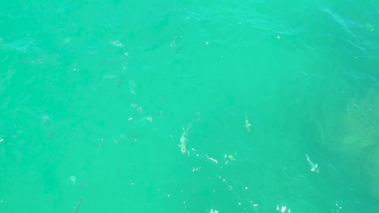 Blue-green ocean water in Laguna Beach, Baja California Sur, with a few brighter reflected patches, muted darker shapes below the surface, gentle ripples, and no visible people.