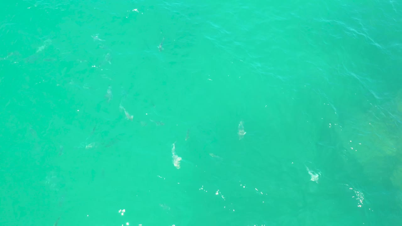 Turquoise ocean surface at Laguna Beach, Baja California Sur, with rippled texture crossing the frame, scattered white highlights, soft green-blue depth changes, and no visible people.