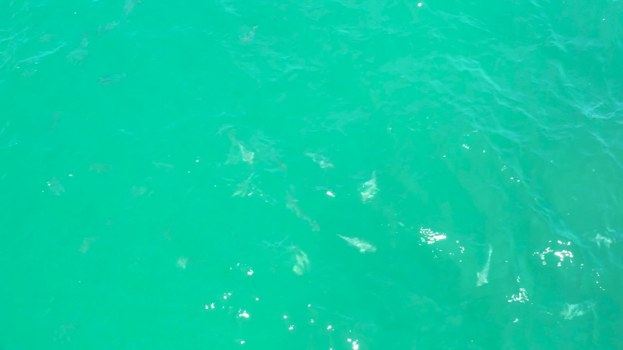 Teal water in Laguna Beach, Baja California Sur shows bright white reflections and subtle shark shapes below the surface, with no visible people.
