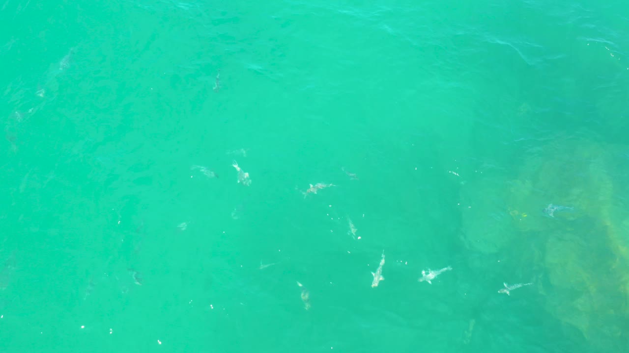Top-down view of turquoise water at Laguna Beach, Baja California Sur, with dark submerged rocks near the right side, scattered white ripples, and no visible people.