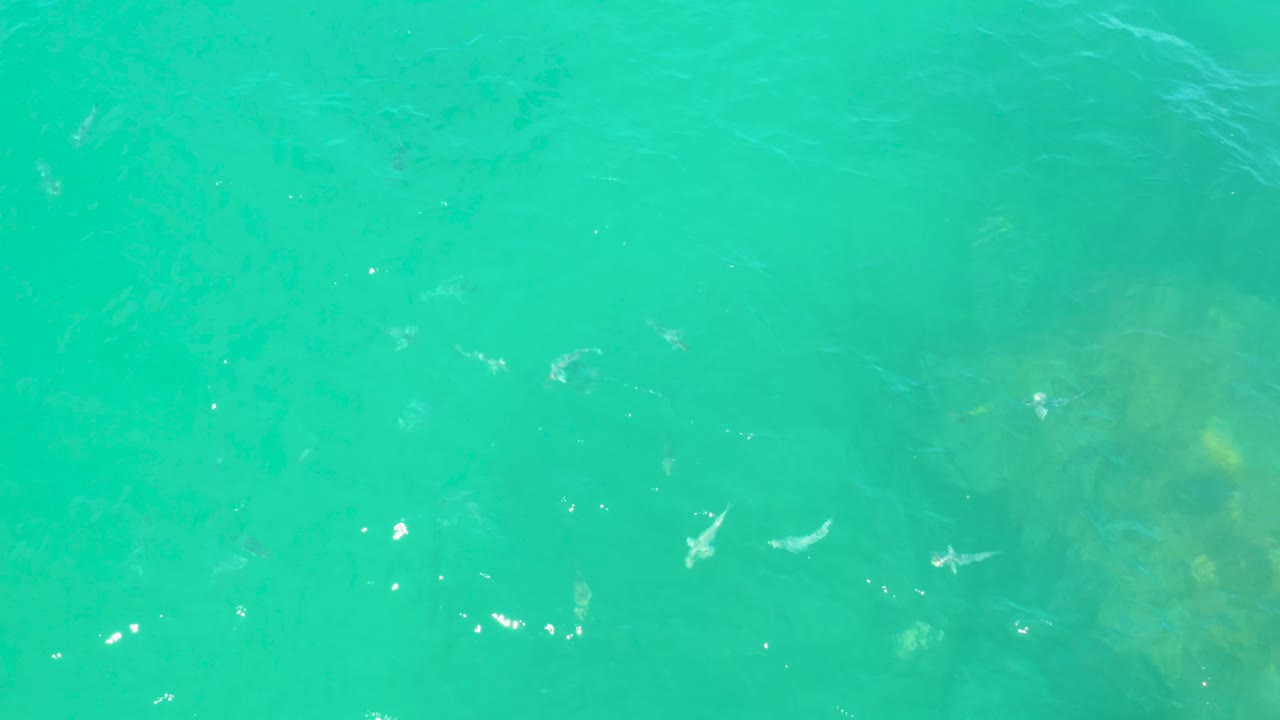 Aerial view over blue-green Laguna Beach water, showing pale streaks of surface movement and muted rock patches under the clear sea, with no visible people.
