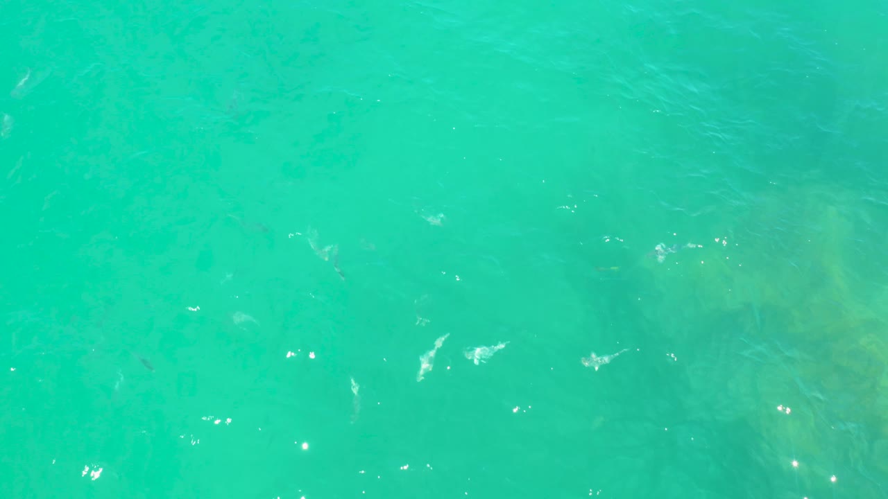 Top-down Laguna Beach water frame with a broad turquoise surface, thin white foam streaks across the center, darker underwater rocks, and no visible people.