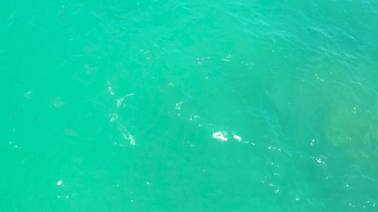 Bright turquoise sea water fills the first frame of the Laguna Beach, Baja California Sur clip, with scattered sun glints, faint underwater color variation, and no visible people.