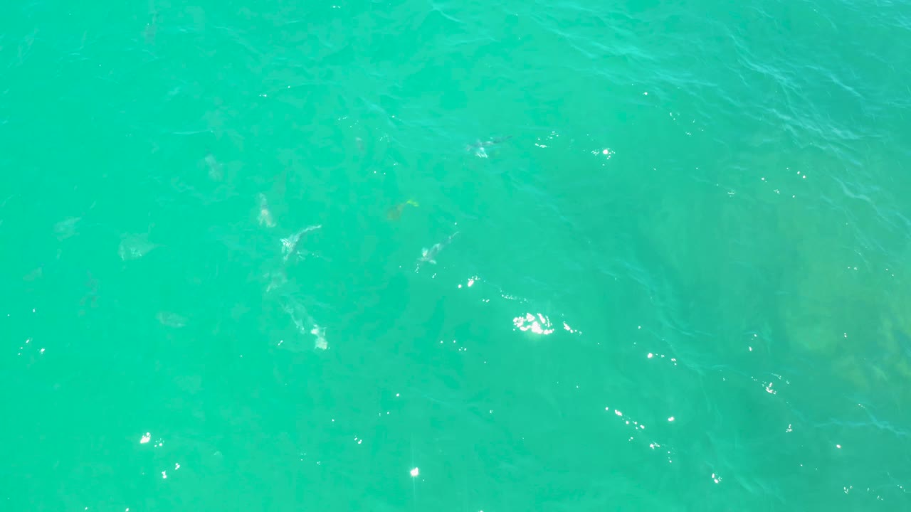 Clear blue-green water with small surface highlights.