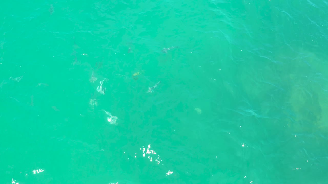 At 0:02, the frame shows rippling turquoise water in Laguna Beach, Baja California Sur, with brighter reflected points near the lower area and no visible people.