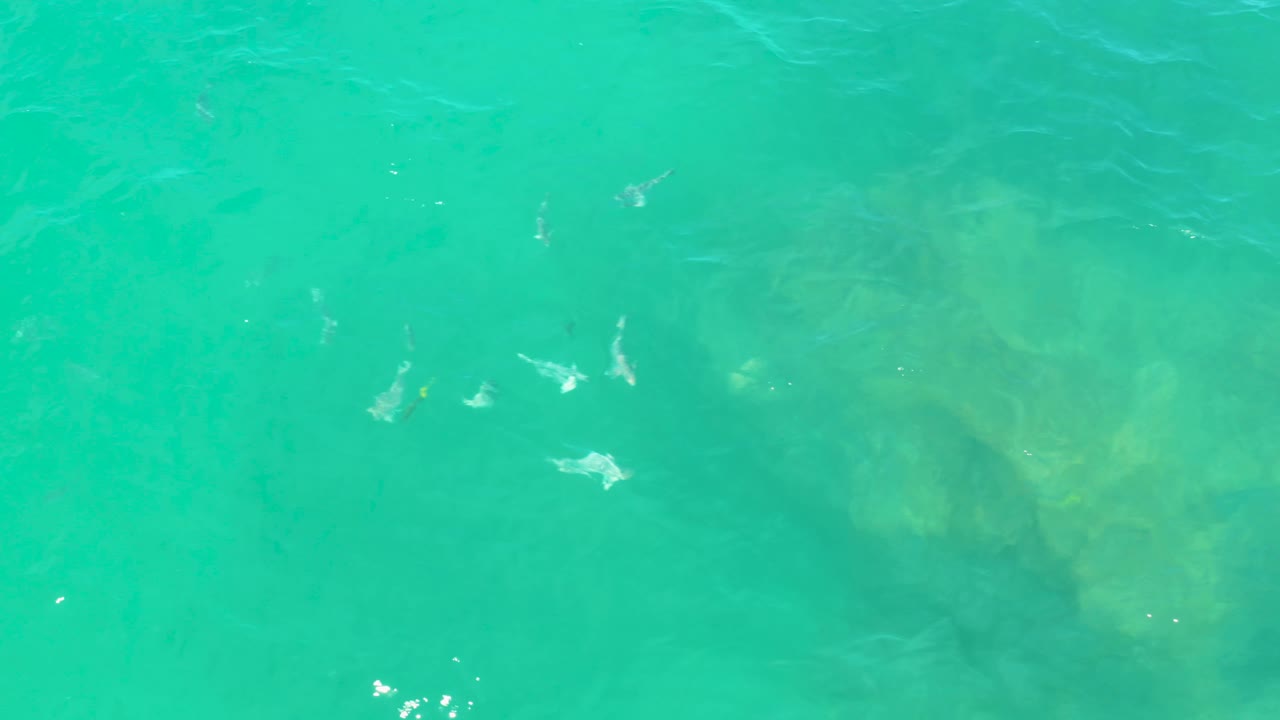 Green-blue sea surface over darker underwater patches in Laguna Beach, Baja California Sur, with small bright flecks from ripples and no visible people.