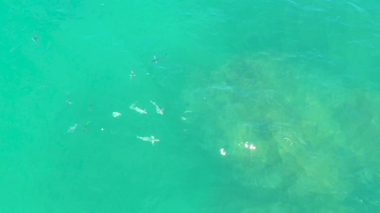 Turquoise ocean water in Laguna Beach, Baja California Sur, with pale submerged formations softened by the surface and scattered white wave marks, no visible people.