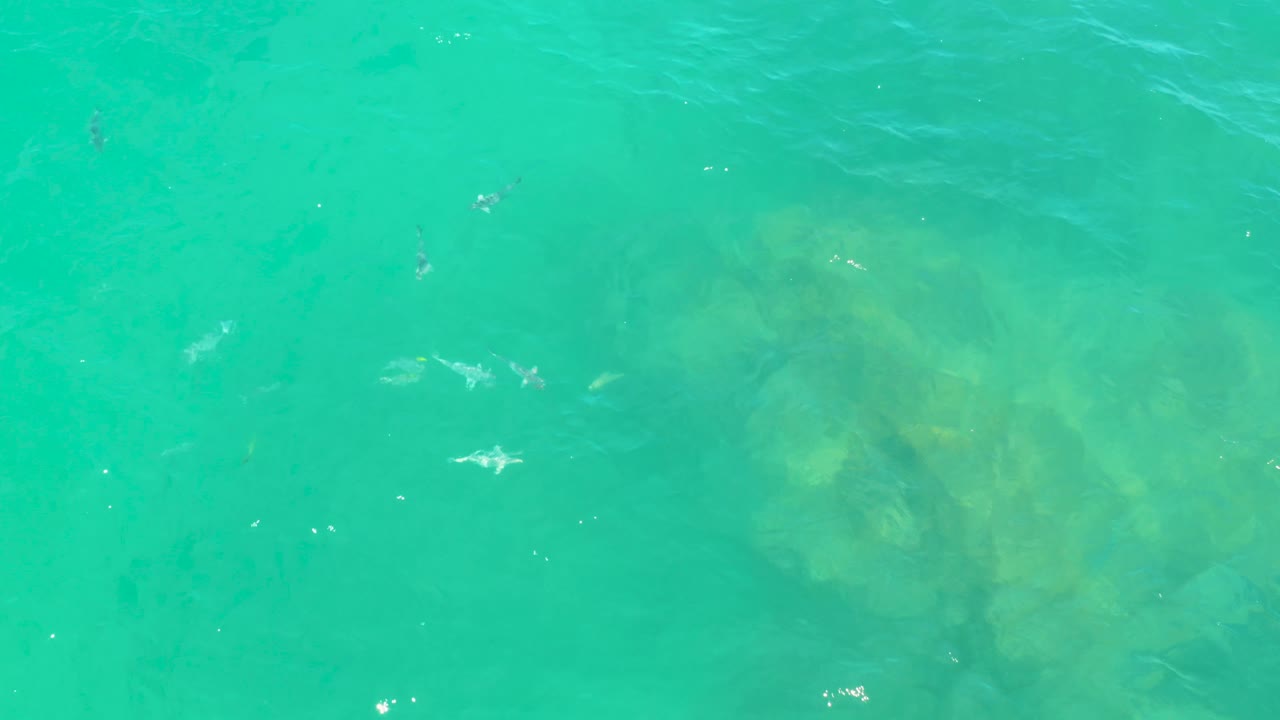 Overhead aqua water in Laguna Beach, Baja California Sur, where broad submerged shapes sit below fine surface ripples and no visible people appear.