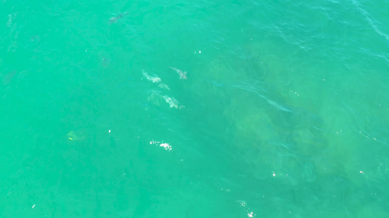 Overhead view of turquoise water at Laguna Beach, Baja California Sur, with faint submerged rock or sand patches, tiny dark fish, surface ripples, and no visible people.