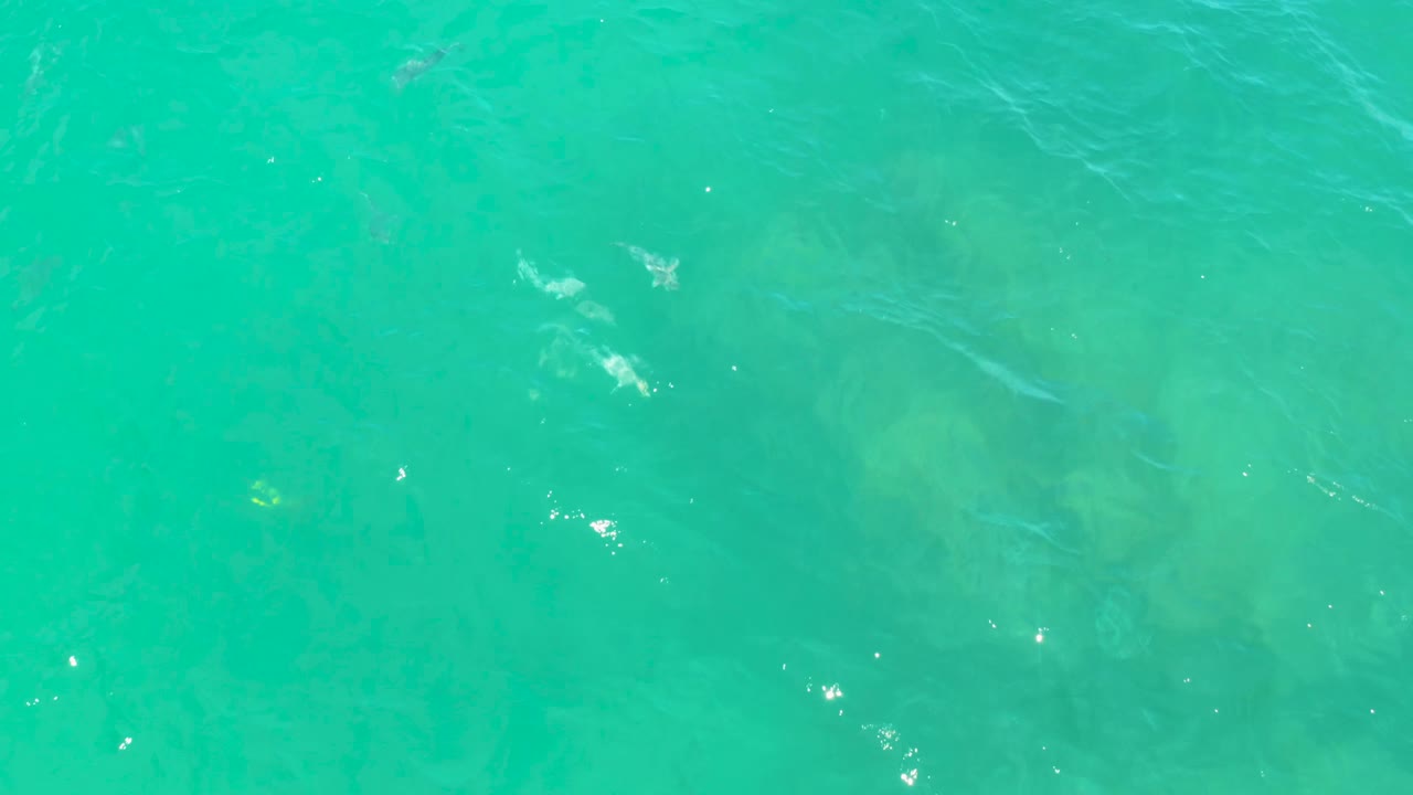 Blue-green seawater in Laguna Beach, Baja California Sur, shows scattered white sun reflections, soft underwater patches, several tiny fish shapes, and no visible people.