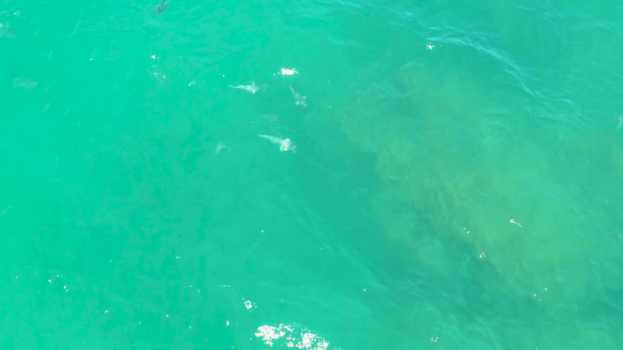 Laguna Beach blue water fills the frame with a small dark fish near the central area, faint underwater shadows, soft ripples, and no visible people.