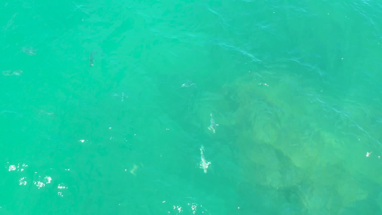 Clear turquoise sea water at Laguna Beach, Baja California Sur, with faint submerged rocks and small white sun glints, no visible people.