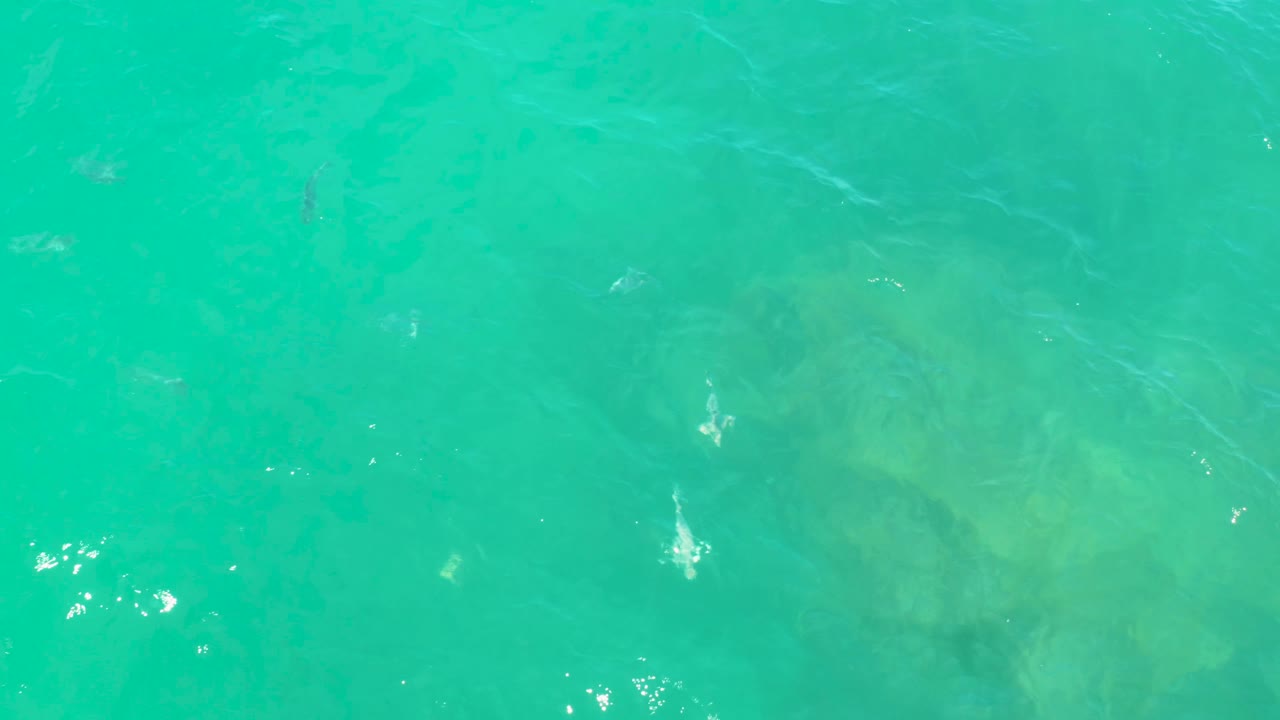 Sunlit clear water in Laguna Beach, Baja California Sur, showing pale submerged rock forms beneath rippled turquoise surface, no visible people.
