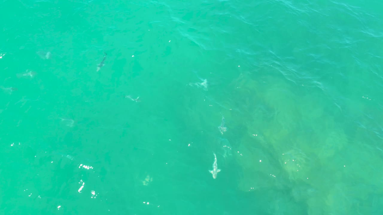 Bright turquoise sea surface at Laguna Beach, Baja California Sur, with darker underwater shapes and scattered sunlight reflections, no visible people.