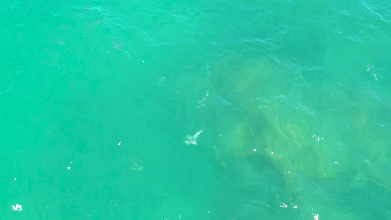 Overhead view of turquoise water in Laguna Beach, Baja California Sur, with darker submerged patches near the center and no visible people.
