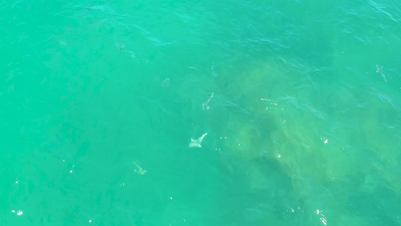 Turquoise ocean fills the frame in Laguna Beach, Baja California Sur, with a darker underwater patch slightly left of center and no visible people.