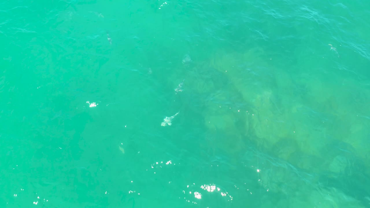 Overhead turquoise water in Laguna Beach, Baja California Sur, with scattered sunlight flecks across the right side and no visible people.